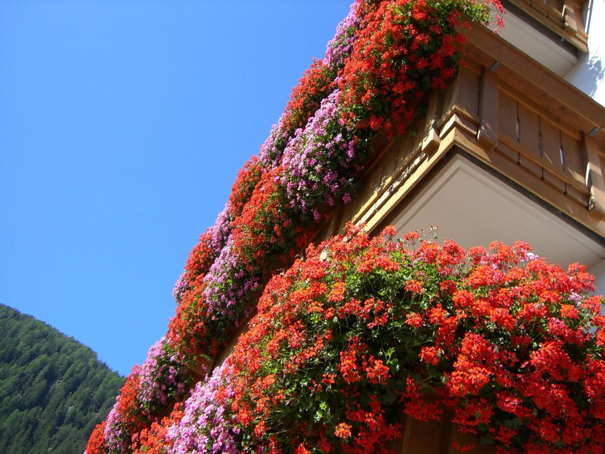 B&B Hotel Alpenrose Rooms & Apartments Valles Dış mekan fotoğraf